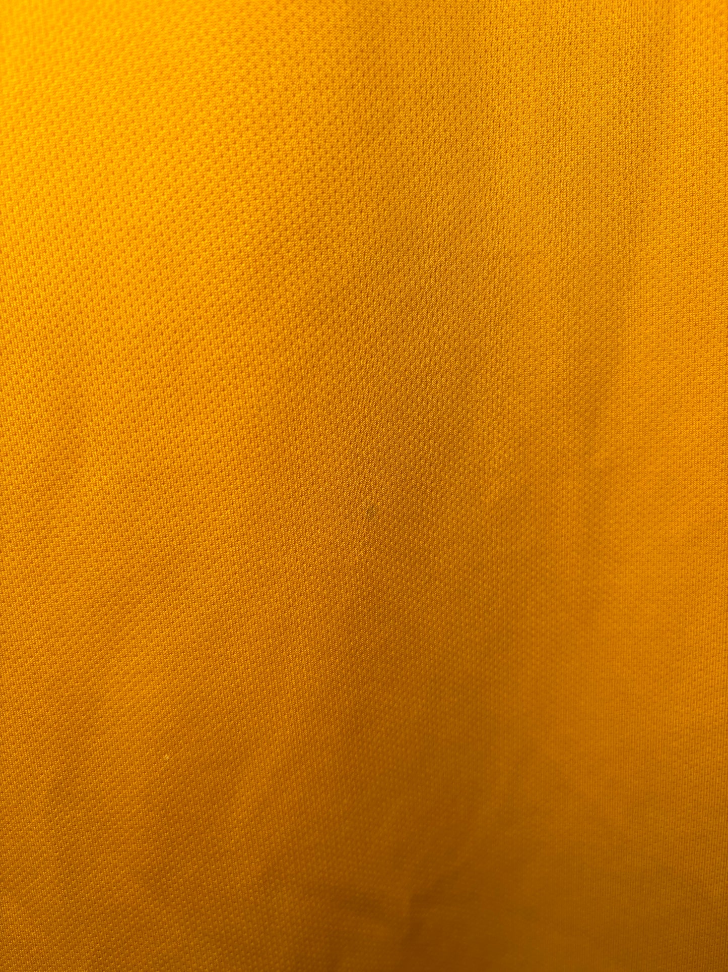 Wolves Home Shirt 2021/22 (L)