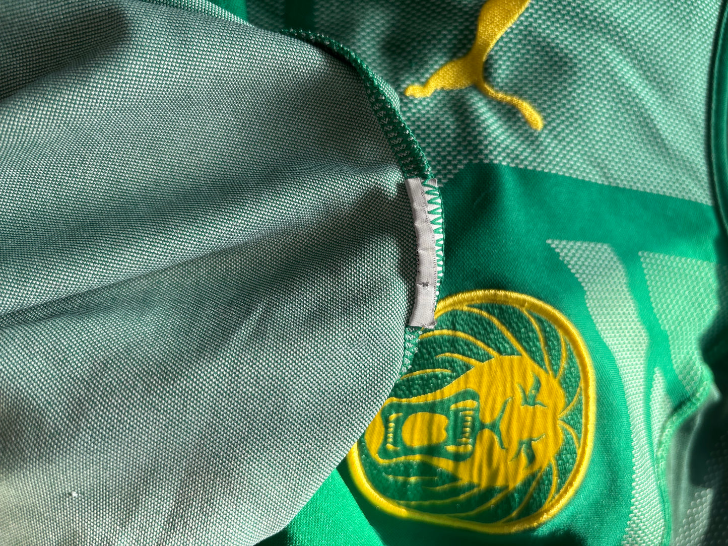 Cameroon Home Shirt 2018 (M)