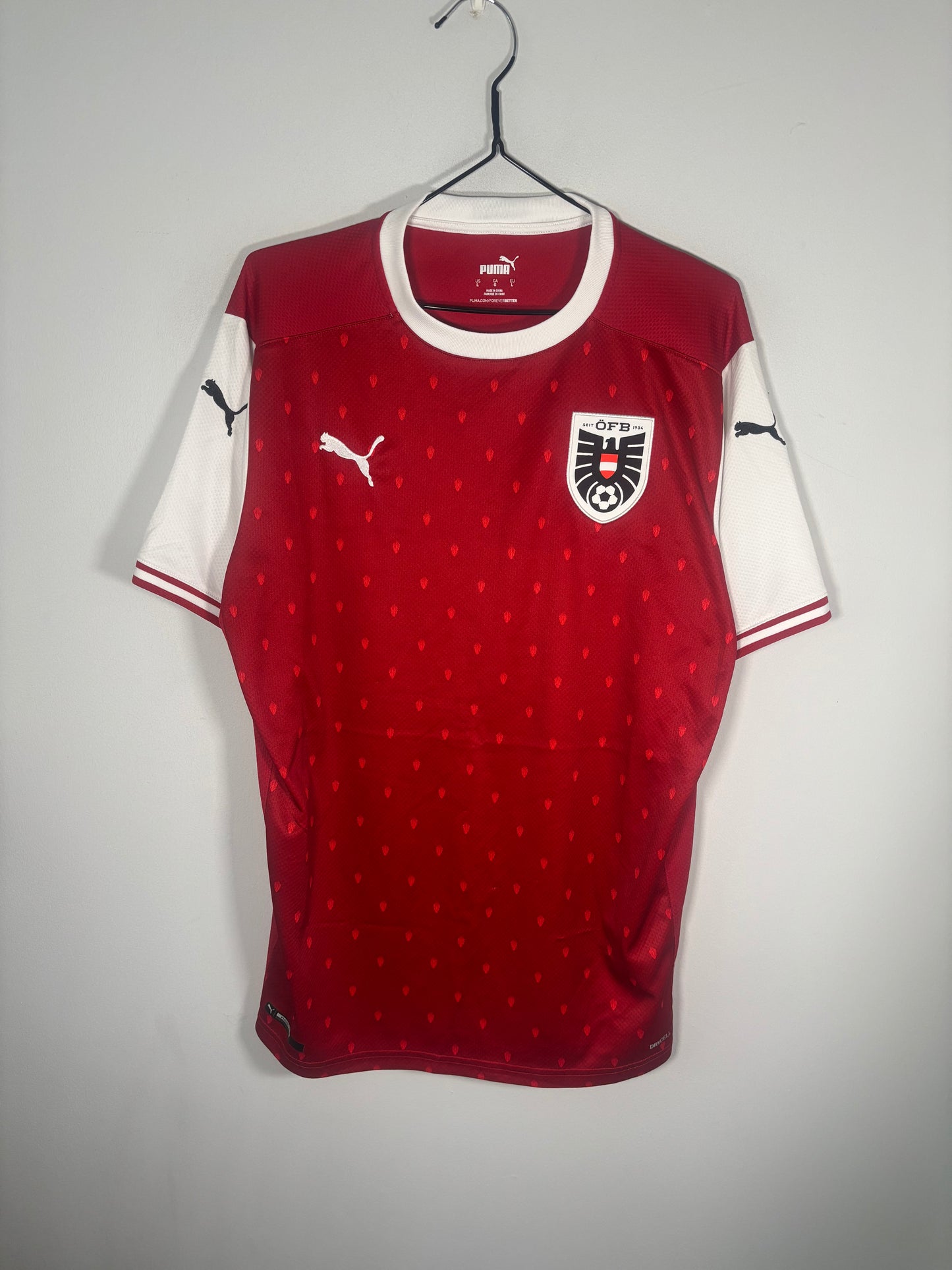 Austria Home Shirt 2020 (L)