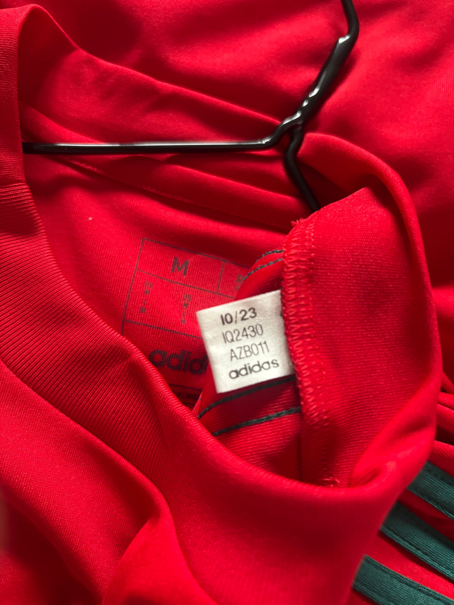 Wales Home Shirt 2024 (M)