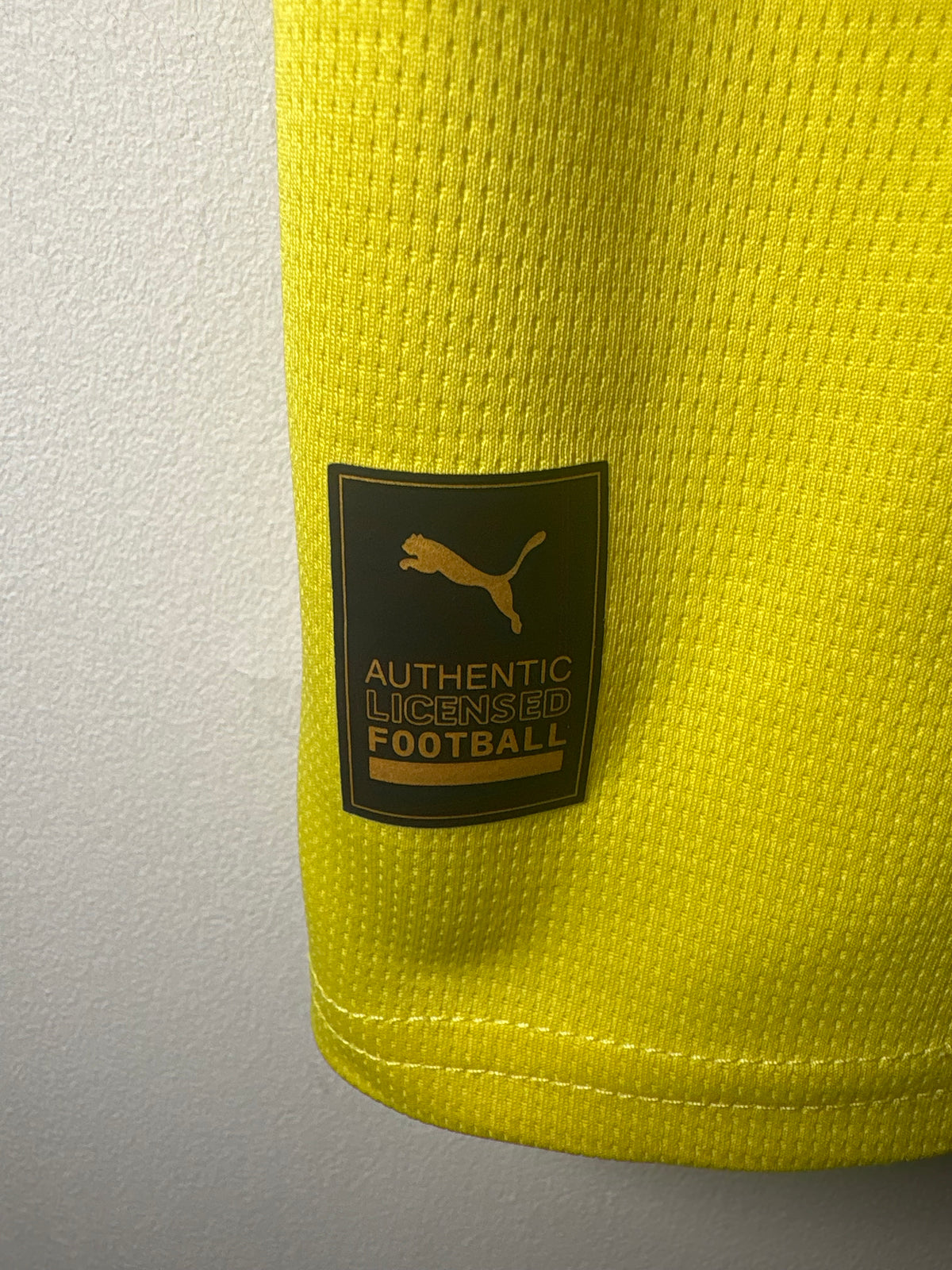 Fenerbahce Home Shirt 2024/25 (L)