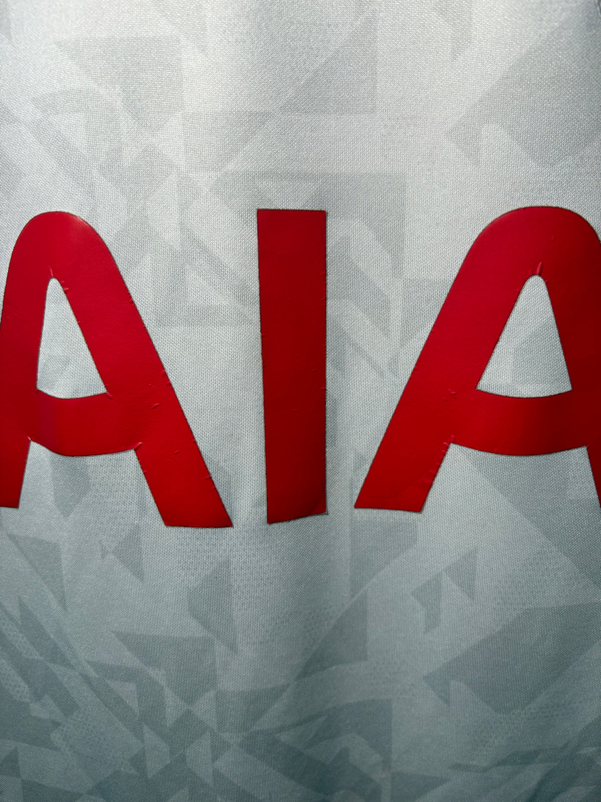 Tottenham Hotspur Authentic Home Shirt 2020/21 (L)
